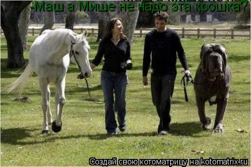 -Маш а Мише не надо эта крошка? -Маш а Мише не надо эта крошка?... Котоматрица: -Маш а Мише не надо эта крошка? -Маш а Мише не надо эта крошка?