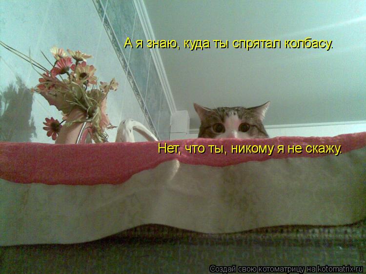 А я знаю, куда ты спрятал колбасу. Нет, что ты, никому я не скажу.... Котоматрица: А я знаю, куда ты спрятал колбасу. Нет, что ты, никому я не скажу.