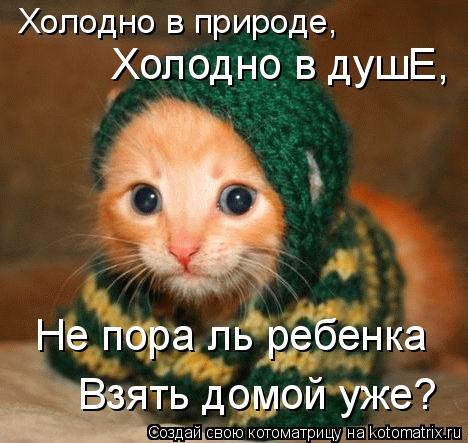 Холодно в природе, Холодно в душЕ, Не пора ль ребенка Взять домой уже?... Котоматрица: Холодно в природе, Холодно в душЕ, Не пора ль ребенка Взять домой уже?
