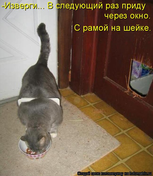 -Изверги... В следующий раз приду через окно. С рамой на шейке.... Котоматрица: -Изверги... В следующий раз приду через окно. С рамой на шейке.
