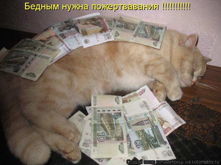 Бедным нужна пожертвавания !!!!!!!!!!!... Котоматрица: Бедным нужна пожертвавания !!!!!!!!!!!