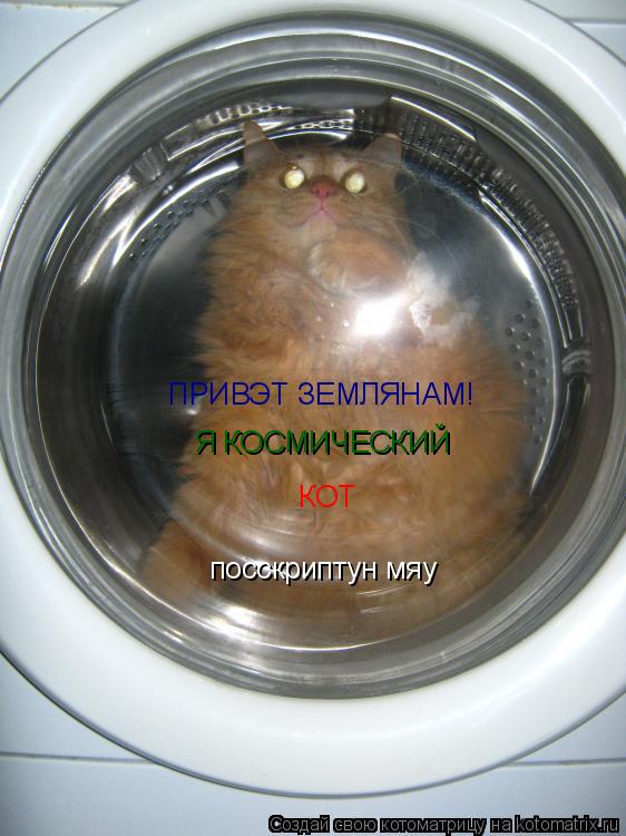 ПРИВЭТ ЗЕМЛЯНАМ! посскриптун мяу Я КОСМИЧЕСКИЙ КОТ... Котоматрица: ПРИВЭТ ЗЕМЛЯНАМ! посскриптун мяу Я КОСМИЧЕСКИЙ КОТ