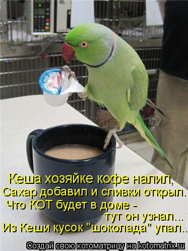 Кеша хозяйке кофе налил, Сахар добавил и сливки открыл... Что КОТ будет в доме - тут он узнал... Из ... Котоматрица: Кеша хозяйке кофе налил, Сахар добавил и сливки открыл... Что КОТ будет в доме - тут он узнал... Из Кеши кусок "шоколада" упал...
