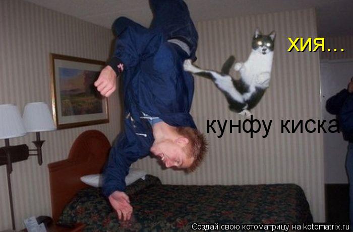 кунфу киска хия...... Котоматрица: кунфу киска хия...