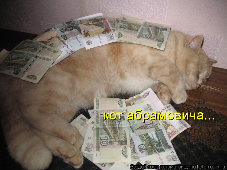 кот абрамовича...... Котоматрица: кот абрамовича...