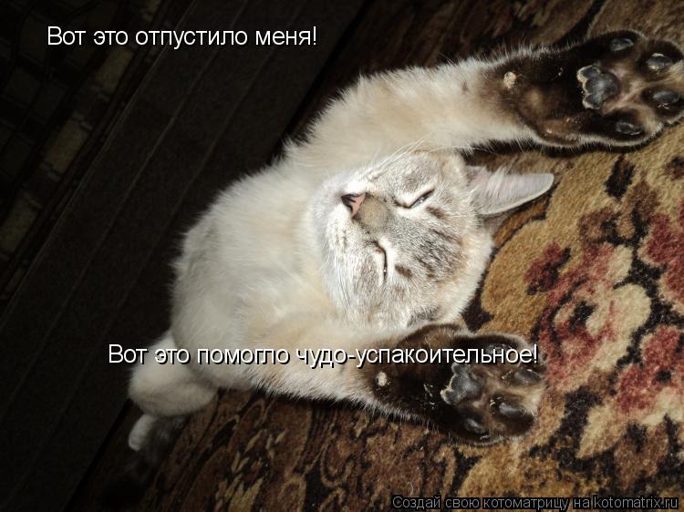 Вот это отпустило меня! Вот это помогло чудо-успакоительное!... Котоматрица: Вот это отпустило меня! Вот это помогло чудо-успакоительное!