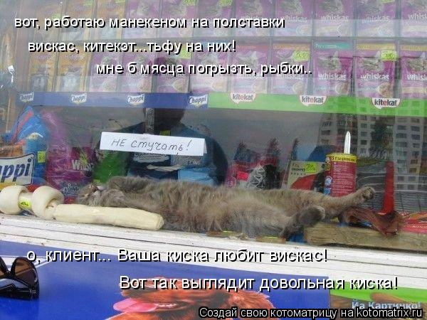 вот, работаю манекеном на полставки вискас, китекэт...тьфу на них! мне б мясца погрызть, рыбки.. о, ... Котоматрица: вот, работаю манекеном на полставки вискас, китекэт...тьфу на них! мне б мясца погрызть, рыбки.. о, клиент... Ваша киска любит вискас! Вот так вы