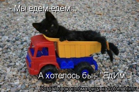 - Мы едем-едем... А хотелось бы - "ЕдИм" !... Котоматрица: - Мы едем-едем... А хотелось бы - "ЕдИм" !
