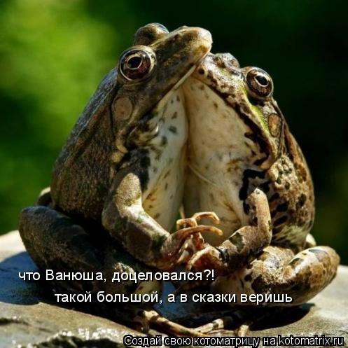 что Ванюша, доцеловался?! такой большой, а в сказки веришь... Котоматрица: что Ванюша, доцеловался?! такой большой, а в сказки веришь