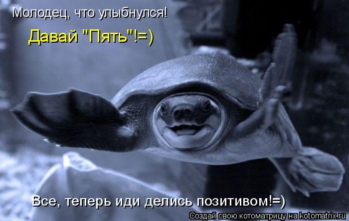 Молодец, что улыбнулся! Давай "Пять"!=) Все, теперь иди делись позитивом!=)... Котоматрица: Молодец, что улыбнулся! Давай "Пять"!=) Все, теперь иди делись позитивом!=)
