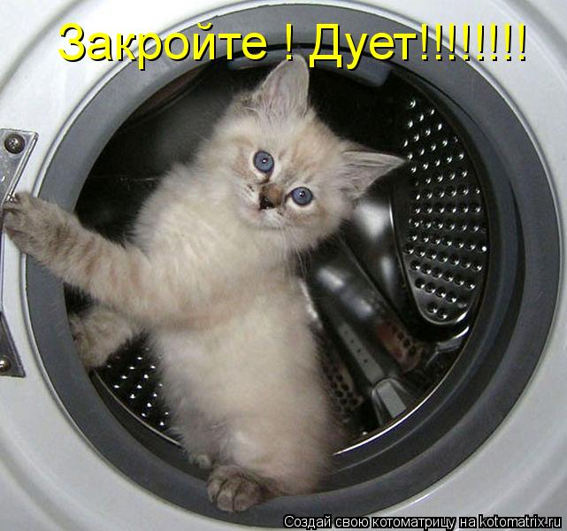 Закройте ! Дует!!!!!!!!... Котоматрица: Закройте ! Дует!!!!!!!!