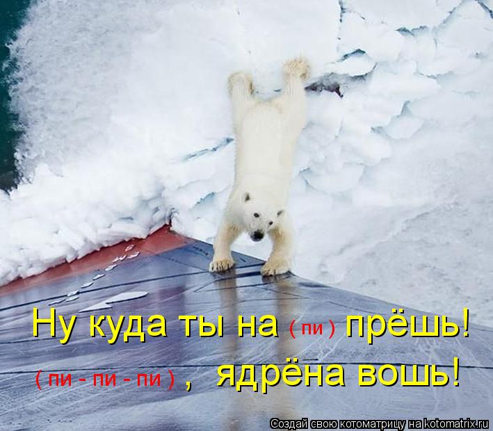 Ну куда ты на прёшь! , ядрёна вошь! ( пи ) ( пи - пи - пи )... Котоматрица: Ну куда ты на прёшь! , ядрёна вошь! ( пи ) ( пи - пи - пи )
