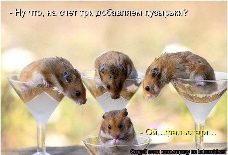 - Ну что, на счет три добавляем пузырьки? - Ой...фальстарт...... Котоматрица: - Ну что, на счет три добавляем пузырьки? - Ой...фальстарт...