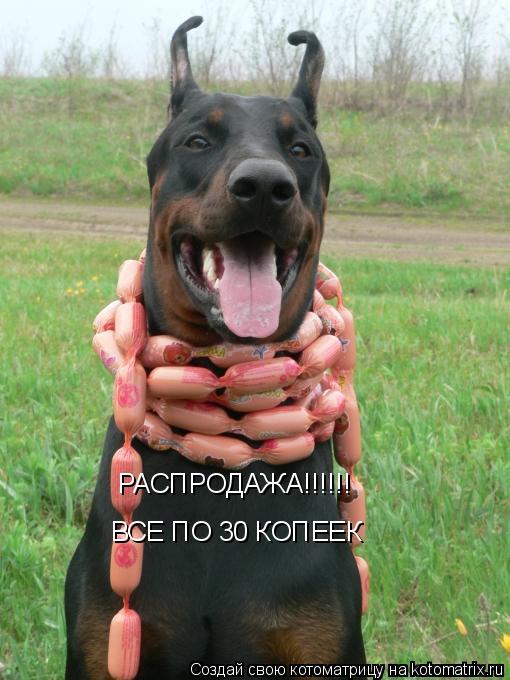 РАСПРОДАЖА!!!!!! ВСЕ ПО 30 КОПЕЕК... Котоматрица: РАСПРОДАЖА!!!!!! ВСЕ ПО 30 КОПЕЕК