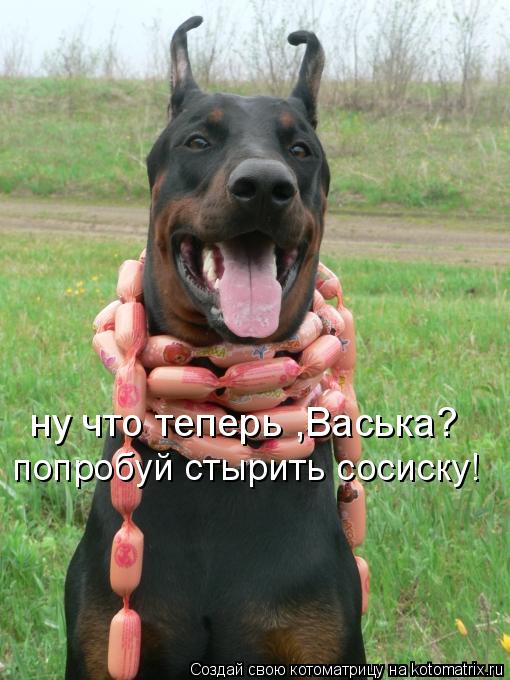 ну что теперь ,Васька? попробуй стырить сосиску!... Котоматрица: ну что теперь ,Васька? попробуй стырить сосиску!
