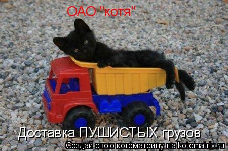 Доставка ПУШИСТЫХ грузов ОАО "котя"... Котоматрица: Доставка ПУШИСТЫХ грузов ОАО "котя"