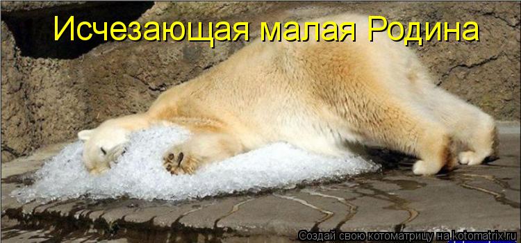Исчезающая малая Родина... Котоматрица: Исчезающая малая Родина