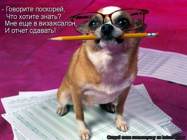 - Говорите поскорей, Что хотите знать? Мне еще в визажсалон, И отчет сдавать!... Котоматрица: - Говорите поскорей, Что хотите знать? Мне еще в визажсалон, И отчет сдавать!