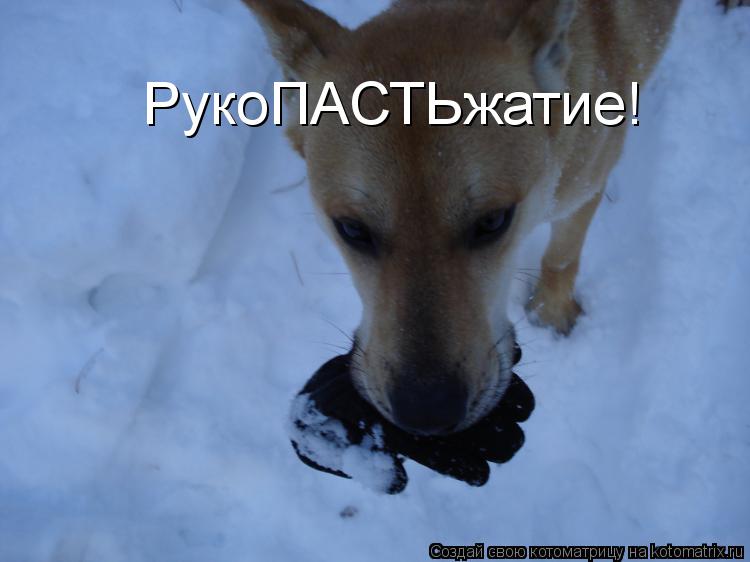 РукоПАСТЬжатие!... Котоматрица: РукоПАСТЬжатие!