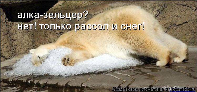алка-зельцер? нет! только рассол и снег!... Котоматрица: алка-зельцер? нет! только рассол и снег!