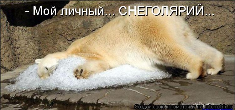 - Мой личный... СНЕГОЛЯРИЙ...... Котоматрица: - Мой личный... СНЕГОЛЯРИЙ...