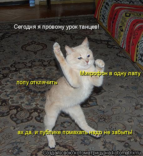 Сегодня я провожу урок танцев! Микрофон в одну лапу,вторую поднять,попу отклячить... Микрофон в одну ... Котоматрица: Сегодня я провожу урок танцев! Микрофон в одну лапу,вторую поднять,попу отклячить... Микрофон в одну лапу попу отклячить ах да, и публике пом
