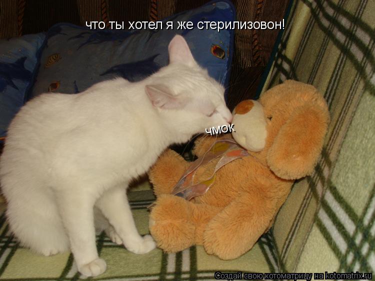что ты хотел я же стерилизовон! чмок... Котоматрица: что ты хотел я же стерилизовон! чмок