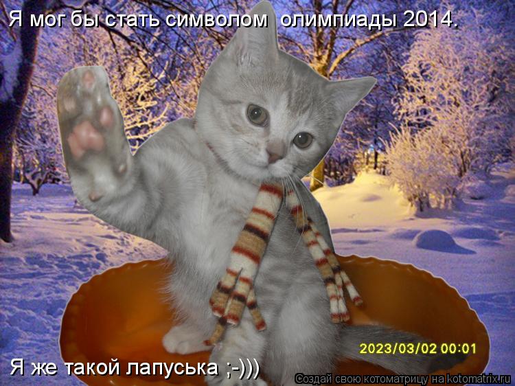 Я мог бы стать символом олимпиады 2014. Я же такой лапуська ;-)))... Котоматрица: Я мог бы стать символом олимпиады 2014. Я же такой лапуська ;-)))