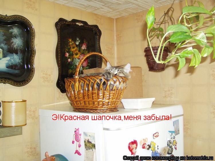 Э!Красная шапочка,меня забыла!... Котоматрица: Э!Красная шапочка,меня забыла!