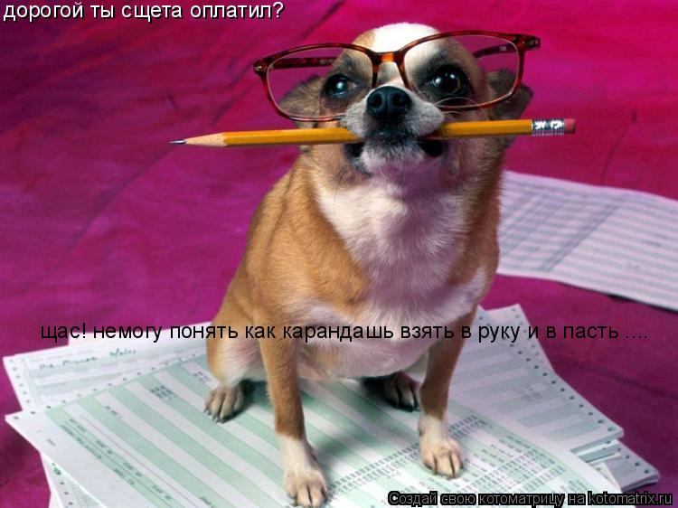 щас! немогу понять как карандашь взять в руку и в пасть .... дорогой ты сщета оплатил?... Котоматрица: щас! немогу понять как карандашь взять в руку и в пасть .... дорогой ты сщета оплатил?