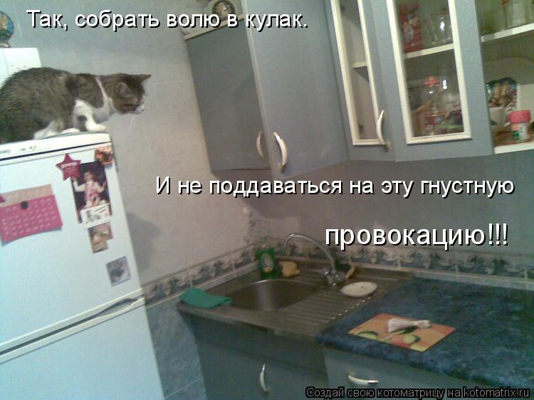 Так, собрать волю в кулак. И не поддаваться на эту гнустную провокацию!!!... Котоматрица: Так, собрать волю в кулак. И не поддаваться на эту гнустную провокацию!!!