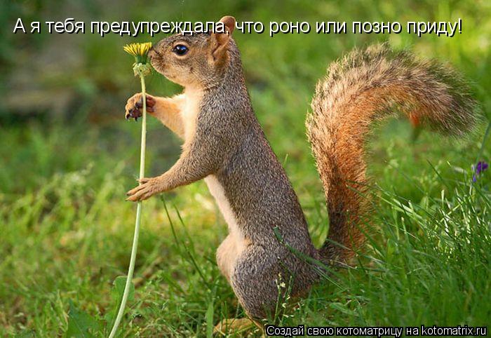 А я тебя предупреждала, что роно или позно приду!... Котоматрица: А я тебя предупреждала, что роно или позно приду!