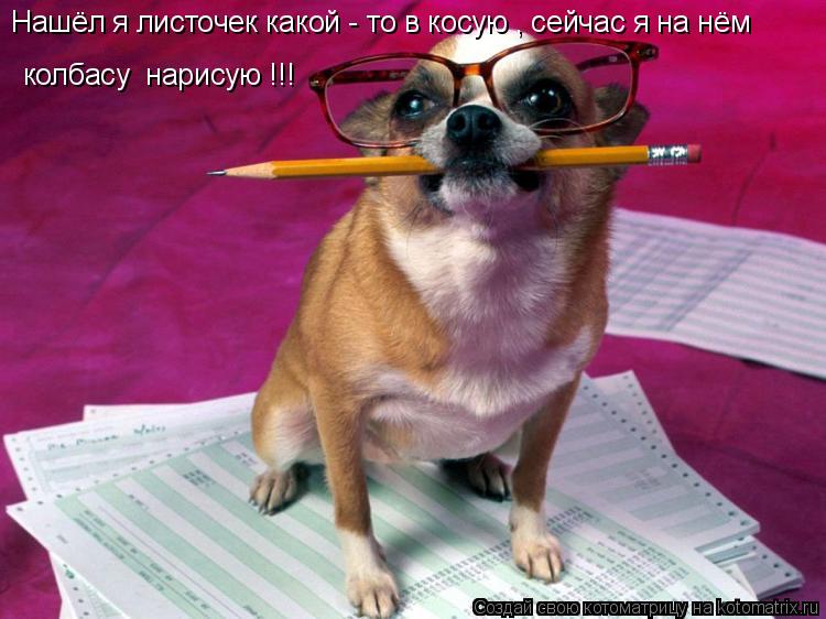 Нашёл я листочек какой - то в косую , сейчас я на нём колбасу нарисую !!!... Котоматрица: Нашёл я листочек какой - то в косую , сейчас я на нём колбасу нарисую !!!