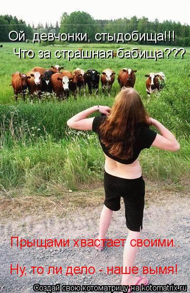Ой, девчонки, стыдобища!!! Что за страшная бабища??? Прыщами хвастает своими.. Ну, то ли дело - наше ... Котоматрица: Ой, девчонки, стыдобища!!! Что за страшная бабища??? Прыщами хвастает своими.. Ну, то ли дело - наше вымя!