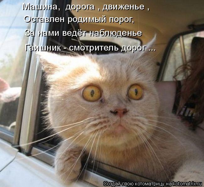 Машина, дорога , движенье , Оставлен родимый порог, За нами ведёт наблюденье Гаишник - смотритель до... Котоматрица: Машина, дорога , движенье , Оставлен родимый порог, За нами ведёт наблюденье Гаишник - смотритель дорог ...