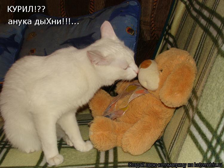 КУРИЛ!?? анука дыХни!!!...... Котоматрица: КУРИЛ!?? анука дыХни!!!...