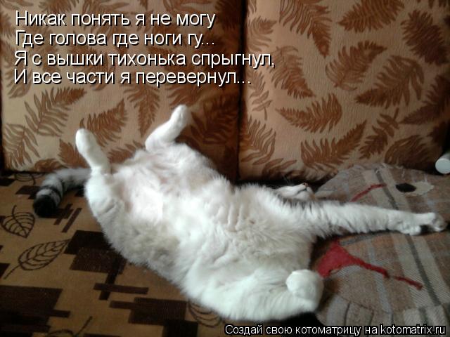 Котоматрица: Никак понять я не могу Где голова где ноги гу... Я с вышки тихонька спрыгнул, И все части я перевернул...