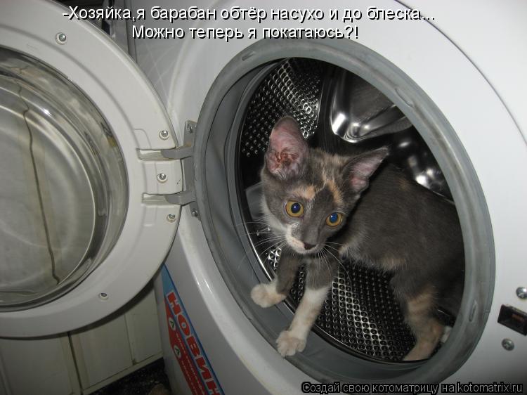 Котоматрица: -Хозяйка,я барабан обтёр насухо и до блеска... Можно теперь я покатаюсь?!