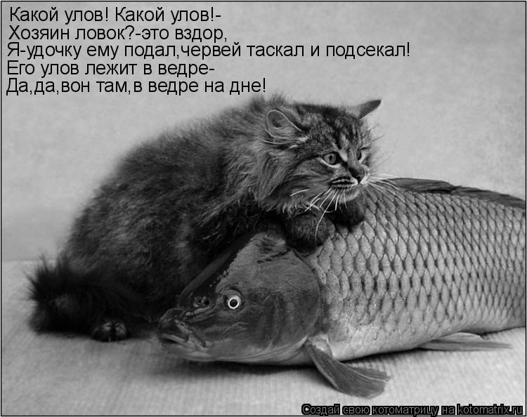 Какой улов! Какой улов!- Хозяин ловок?-это вздор, Я-удочку ему подал,червей таскал и подсекал! Его ул... Котоматрица: Какой улов! Какой улов!- Хозяин ловок?-это вздор, Я-удочку ему подал,червей таскал и подсекал! Его улов лежит в ведре- Да,да,вон там,в ведре на д