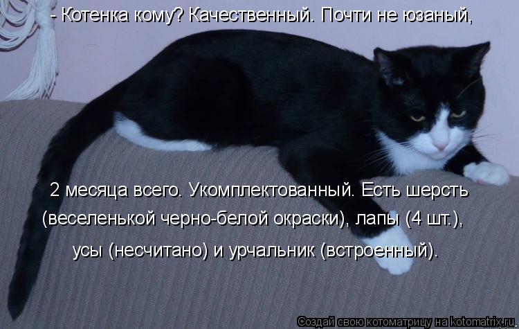Котоматрица: - Котенка кому? Качественный. Почти не юзаный,  2 месяца всего. Укомплектованный. Есть шерсть   (веселенькой черно-белой окраски), лапы (4 шт.),  у