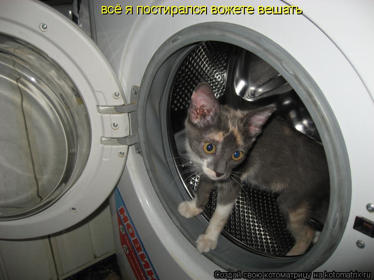 Котоматрица: всё я постирался вожете вешать