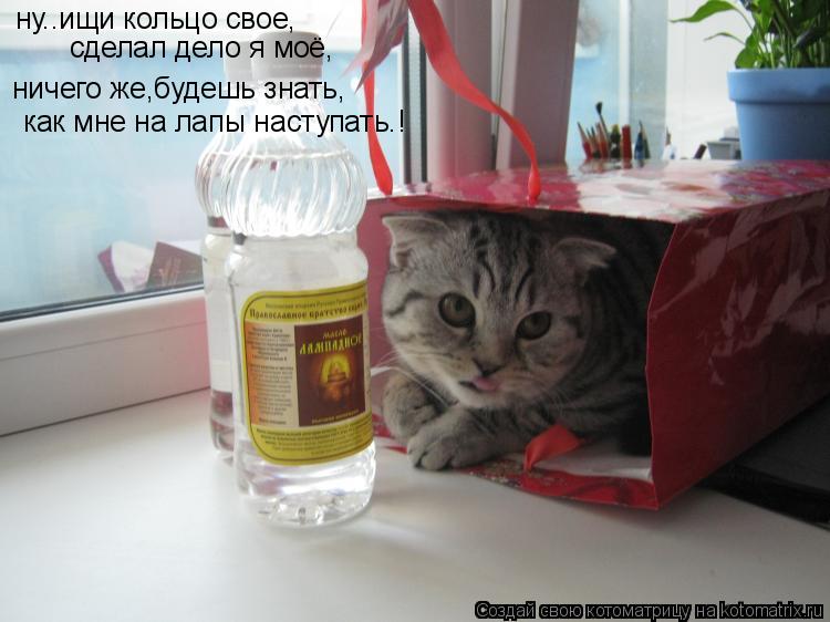 Котоматрица: ну..ищи кольцо свое, ну..ищи кольцо свое, сделал дело я моё, ничего же,будешь знать, как мне на лапы наступать.!