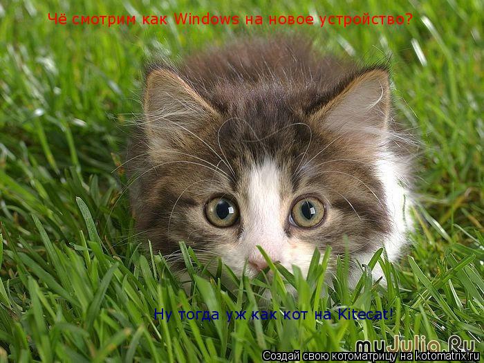 Котоматрица: Чё смотрим как Windows на новое устройство? Ну тогда уж как кот на Kitecat!