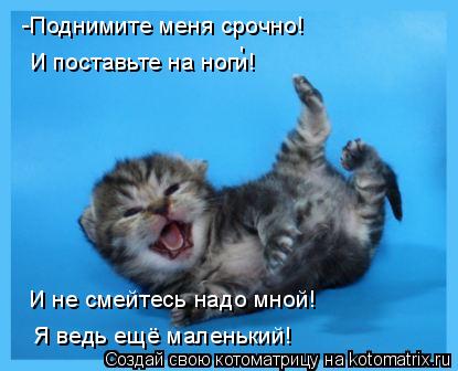 -Поднимите меня срочно! И поставьте на ноги! Я ведь ещё маленький! ' И не смейтесь надо мной!... Котоматрица: -Поднимите меня срочно! И поставьте на ноги! Я ведь ещё маленький! ' И не смейтесь надо мной!