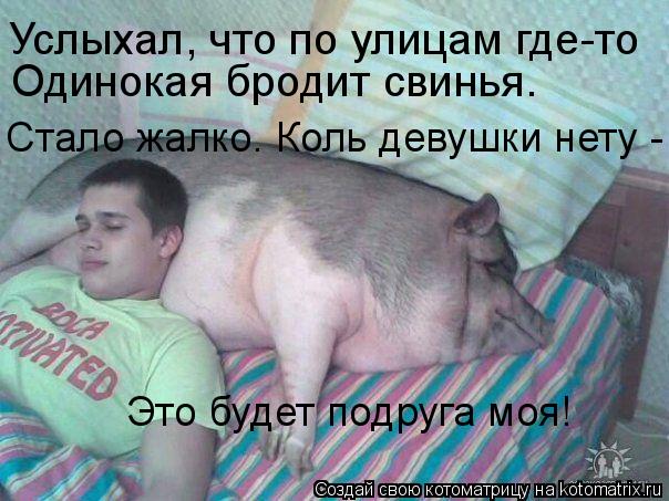 Услыхал, что по улицам где-то Стало жалко. Коль девушки нету - Это будет подруга моя! Одинокая брод... Котоматрица: Услыхал, что по улицам где-то Стало жалко. Коль девушки нету - Это будет подруга моя! Одинокая бродит свинья.