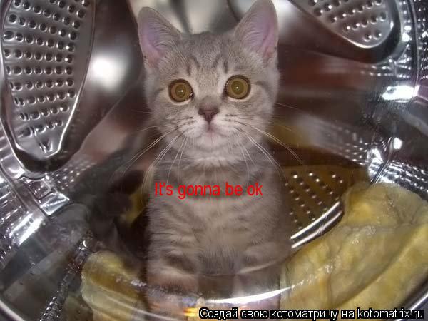 It's gonna be ok... Котоматрица: It's gonna be ok