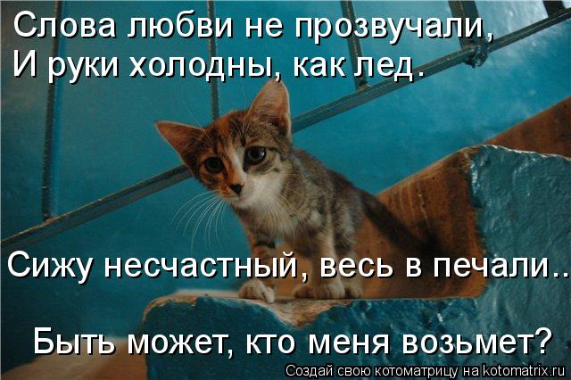 Слова любви не прозвучали, И руки холодны, как лед. Сижу несчастный, весь в печали.. Быть может, кто... Котоматрица: Слова любви не прозвучали, И руки холодны, как лед. Сижу несчастный, весь в печали.. Быть может, кто меня возьмет?