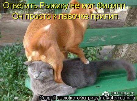 Ответить Рыжику не мог Филипп... Он просто к лавочке прилип.... Котоматрица: Ответить Рыжику не мог Филипп... Он просто к лавочке прилип.