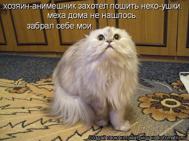 хозяин-анимешник захотел пошить неко-ушки. меха дома не нашлось. забрал себе мои.... Котоматрица: хозяин-анимешник захотел пошить неко-ушки. меха дома не нашлось. забрал себе мои.
