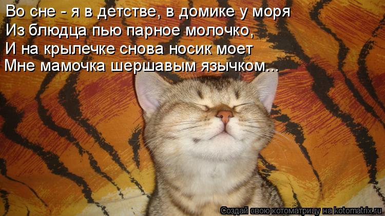 Во сне - я в детстве, в домике у моря Из блюдца пью парное молочко, И на крылечке снова носик моет Мн... Котоматрица: Во сне - я в детстве, в домике у моря Из блюдца пью парное молочко, И на крылечке снова носик моет Мне мамочка шершавым язычком...